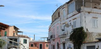 LA TUTELA DELL’AMBIENTE E IL VALORE DELLA SOLIDARIETÀ